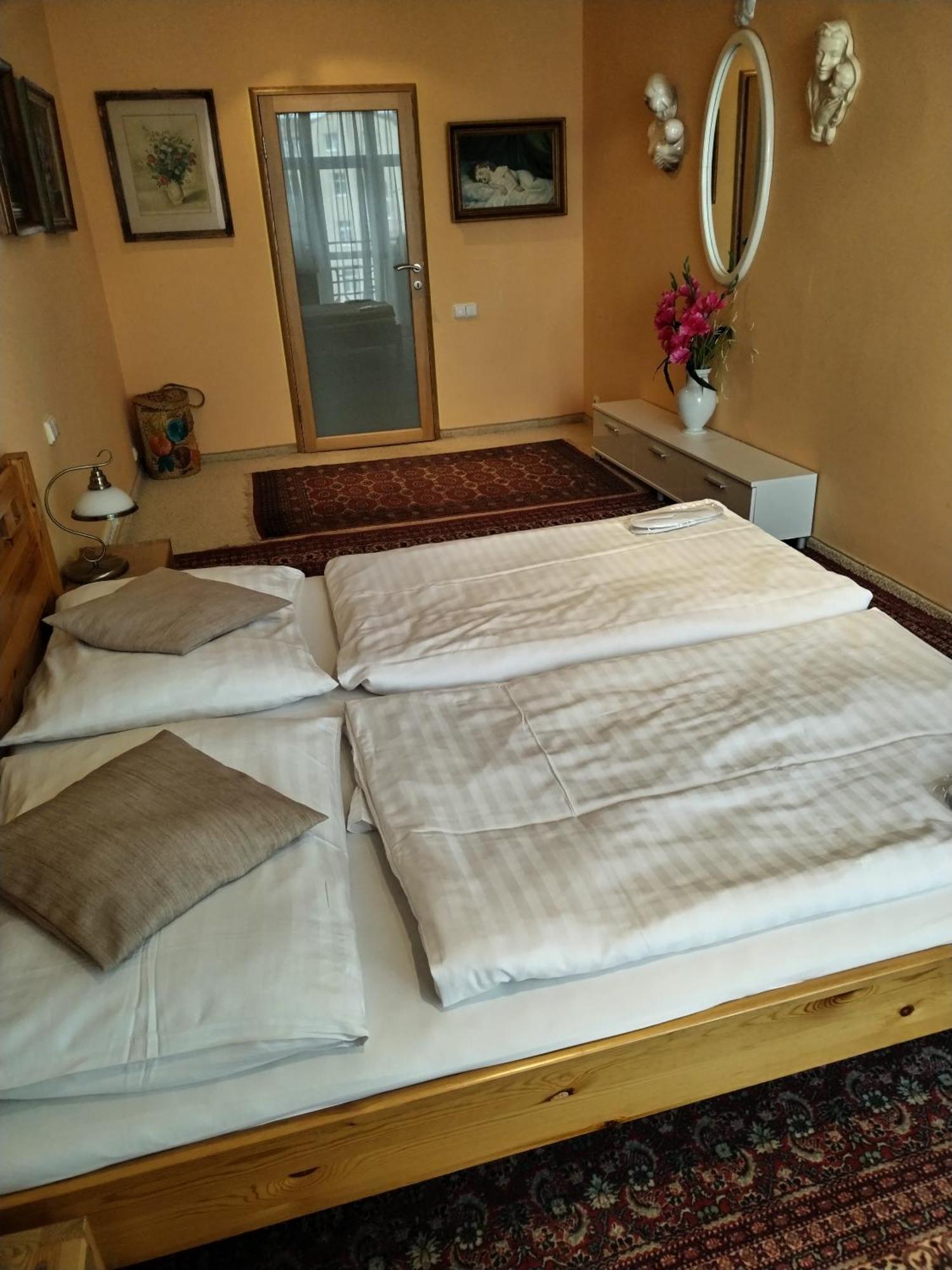 Kamil Apartments, Lux S, 131M2 Karlowe Wary Zewnętrze zdjęcie