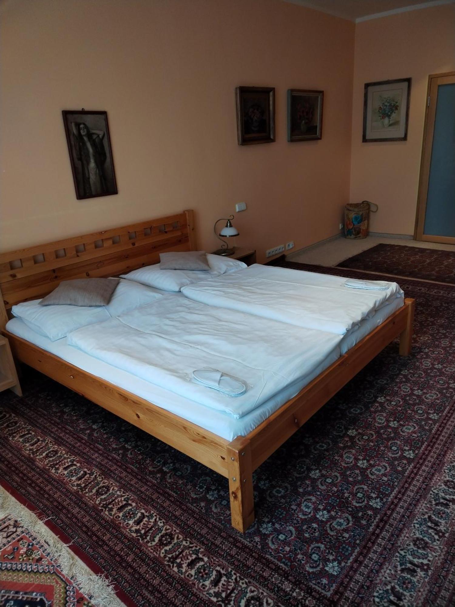 Kamil Apartments, Lux S, 131M2 Karlowe Wary Zewnętrze zdjęcie